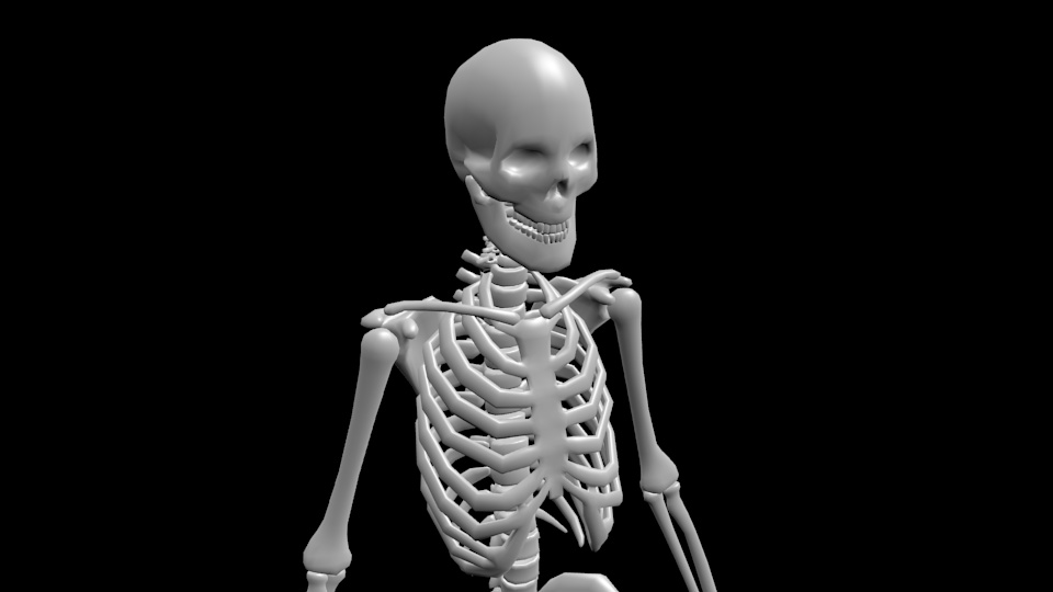 人骨モデル(試作)