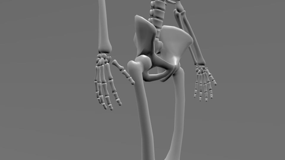 人骨モデル(試作)