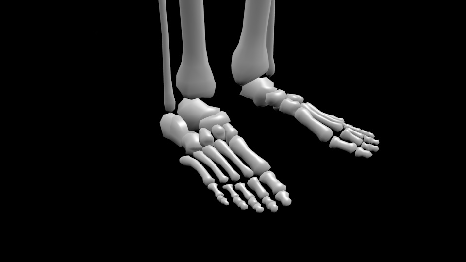 人骨モデル(試作)