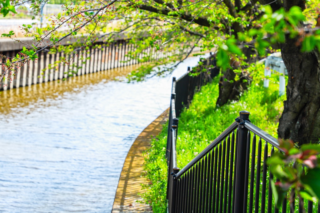 春の公園・久伊豆神社写真集