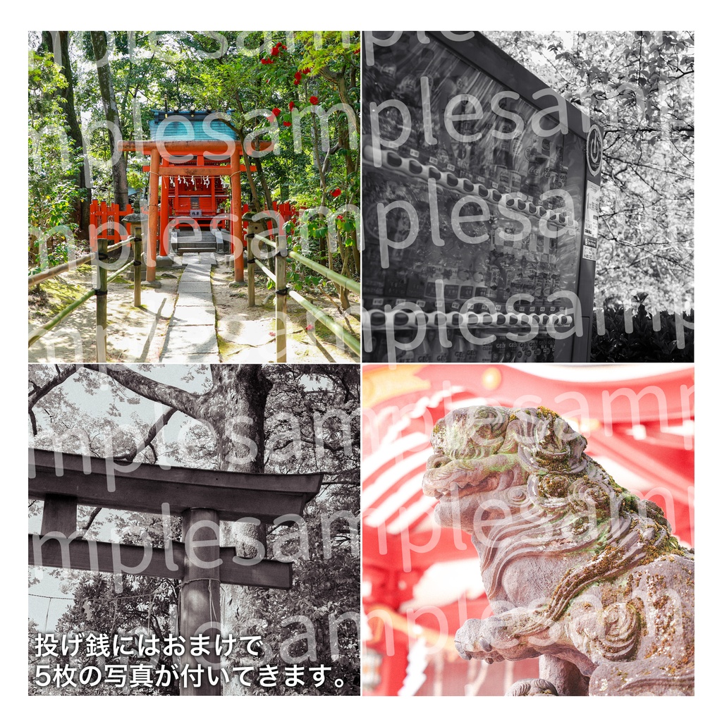 春の公園・久伊豆神社写真集