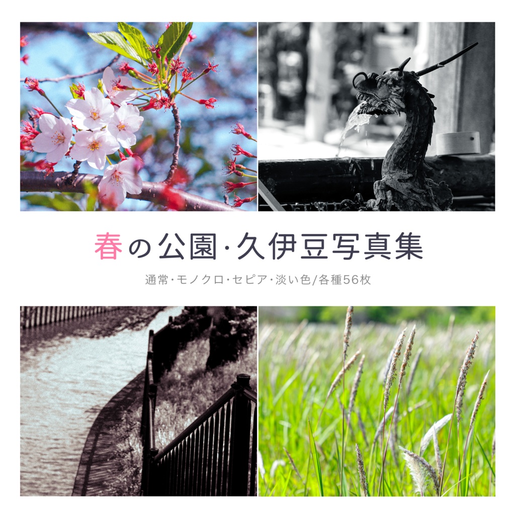 春の公園・久伊豆神社写真集