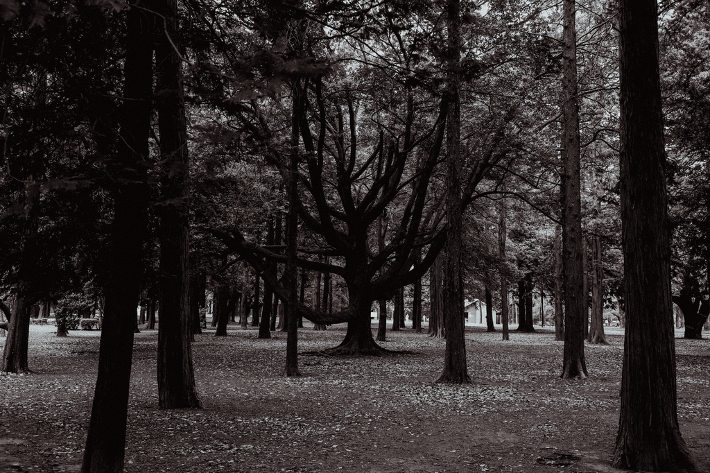 都会の街並み・公園の写真集