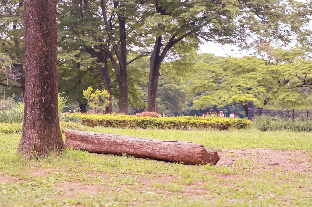 都会の街並み・公園の写真集