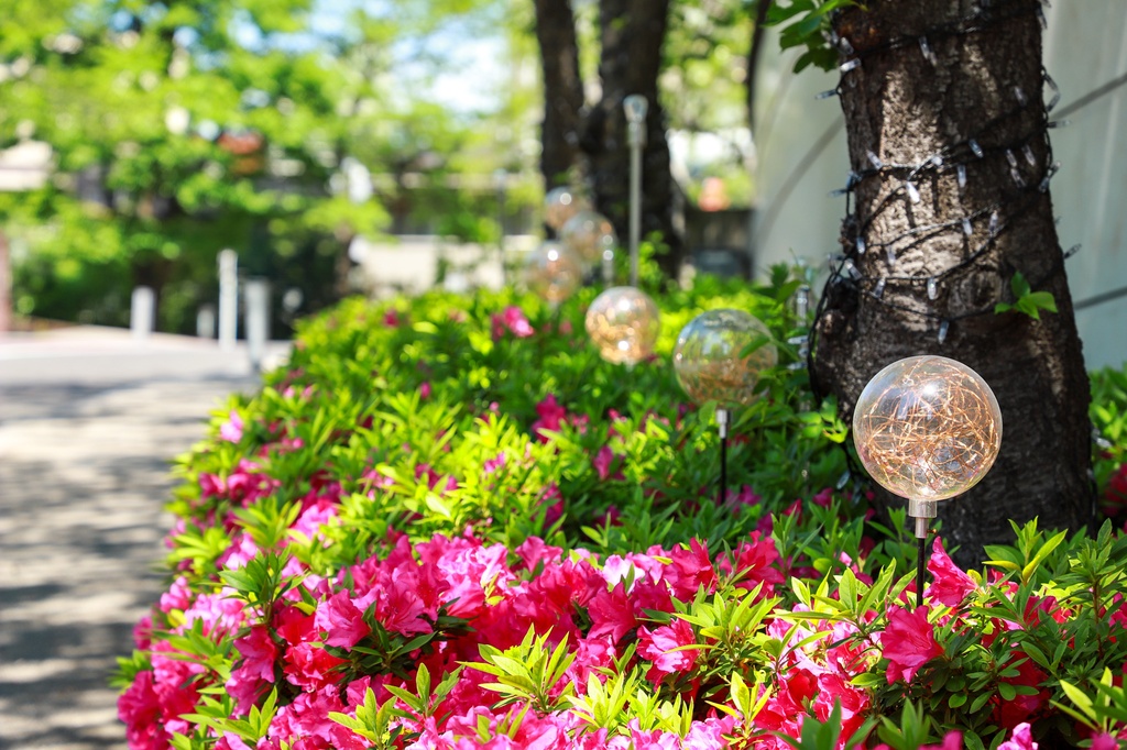 都会の街並み・公園の写真集