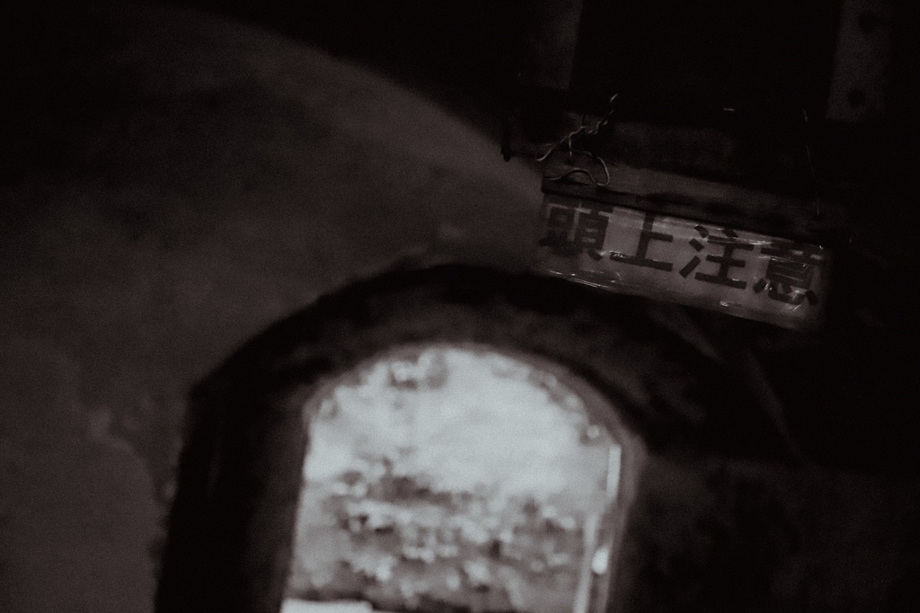 夏の猿島写真集