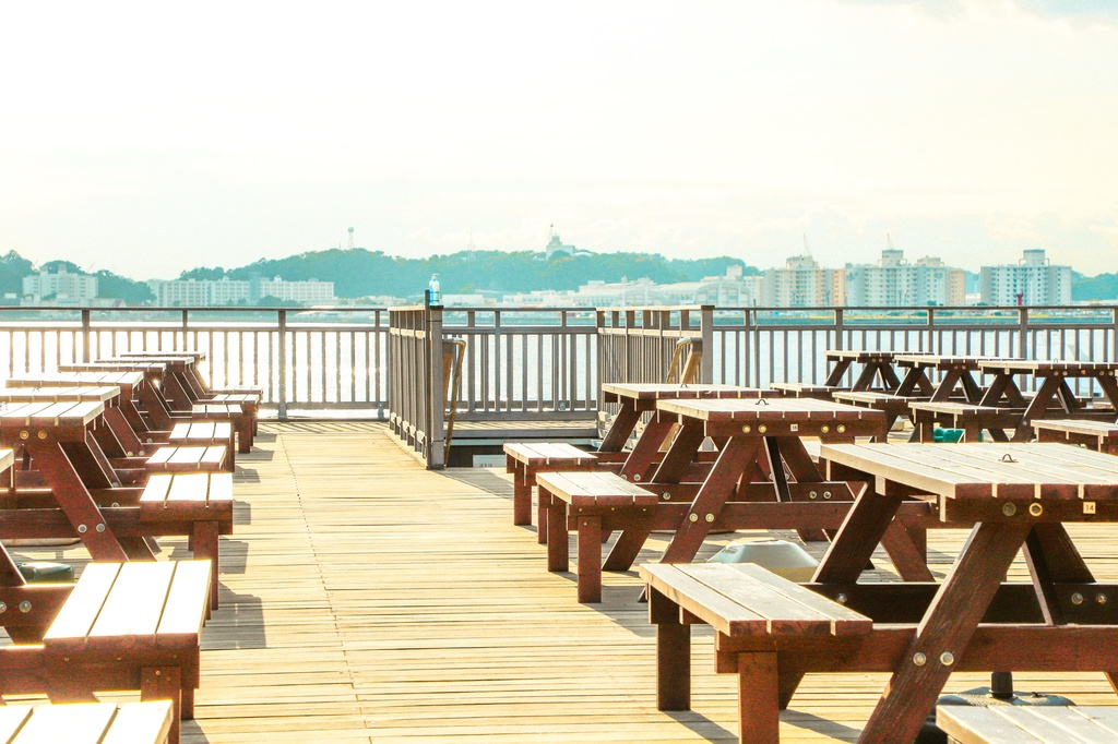 夏の猿島写真集