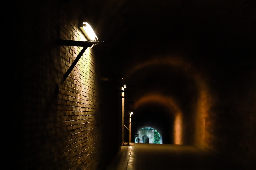 夏の猿島写真集