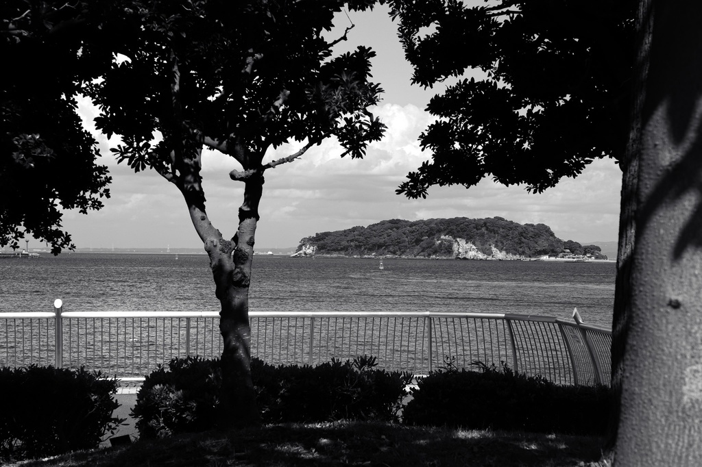 夏の猿島写真集