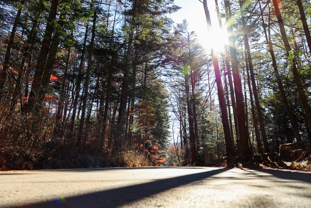 秋の林道・教会写真集