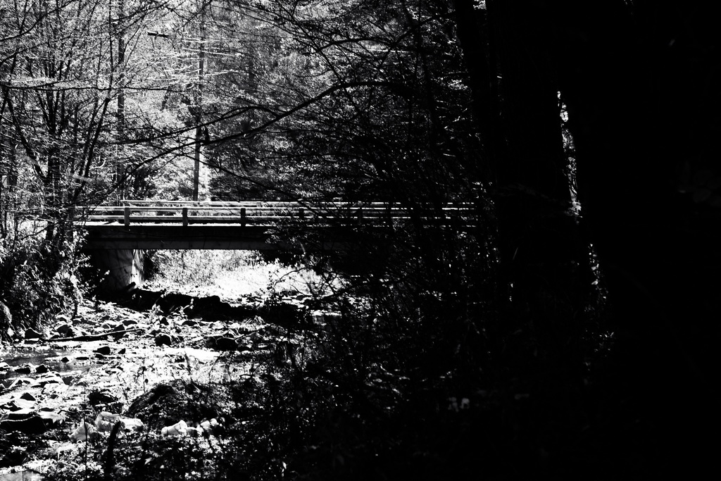 秋の林道・教会写真集