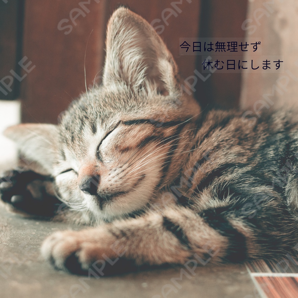 告知画像｜今日は無理せず休む日にします｜猫・シンプル・SNS用