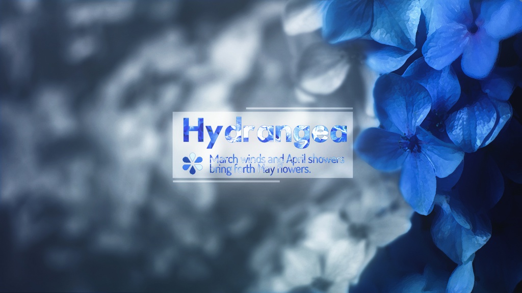 【HYDRANGEA】PSD