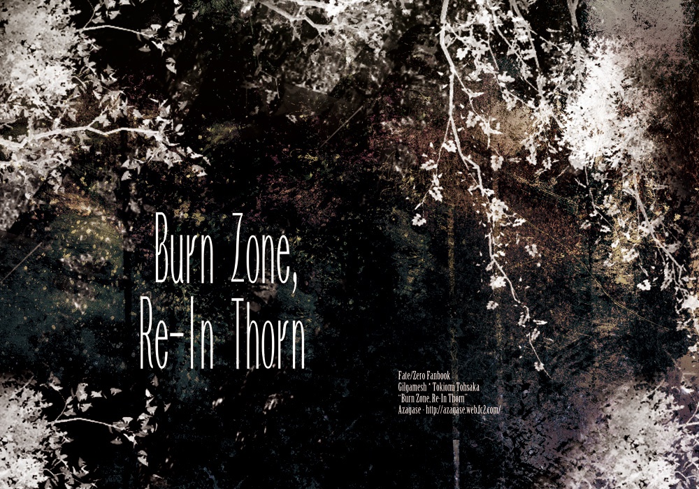 【ギル時】Burn Zone, Re-In Thorn 1