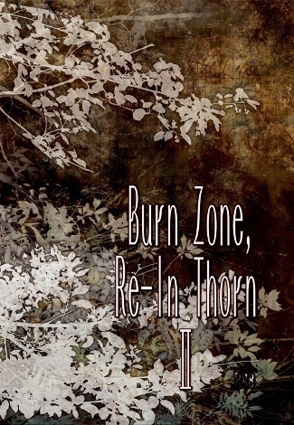 【ギル時】Burn Zone, Re-In Thorn 2