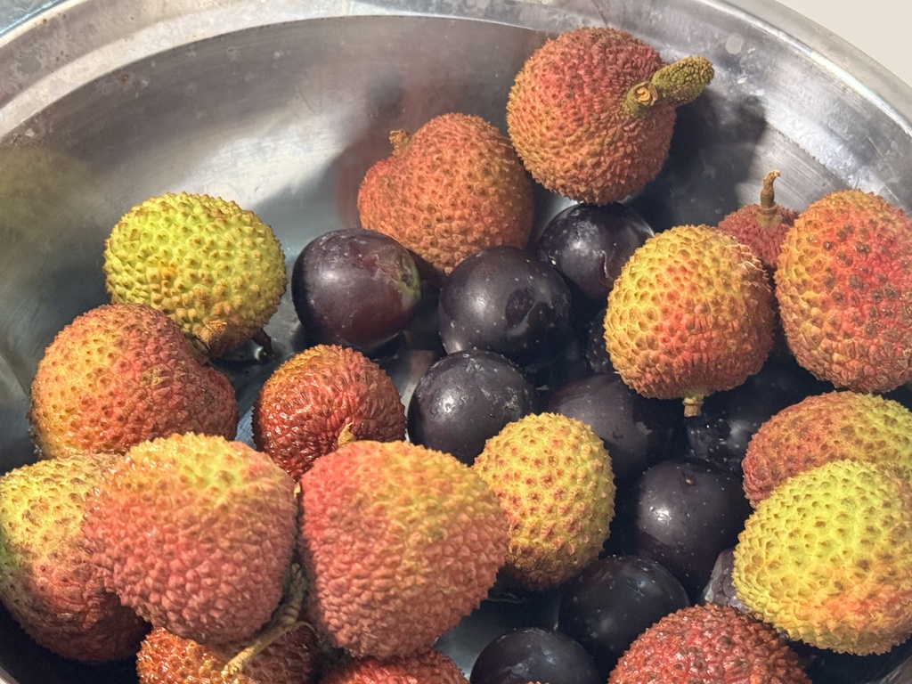 2025年 四月文包合集 1-26