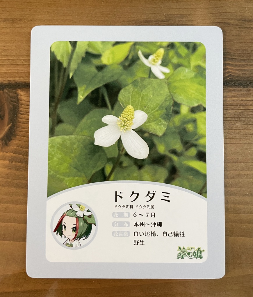 ドクダミちゃん【アクリルフィギュアスタンド】