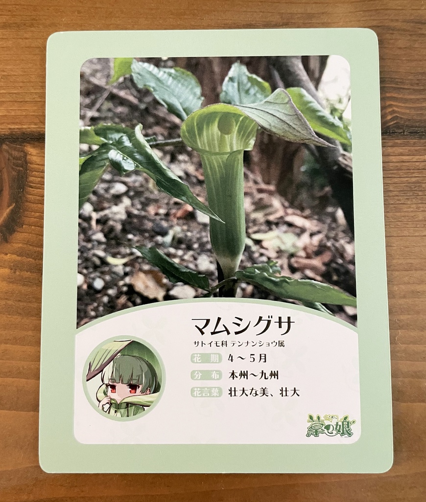 マムシグサちゃん【アクリルフィギュアスタンド】