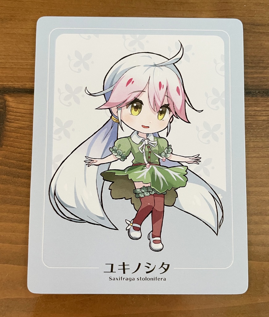 ユキノシタちゃん【アクリルフィギュアスタンド】