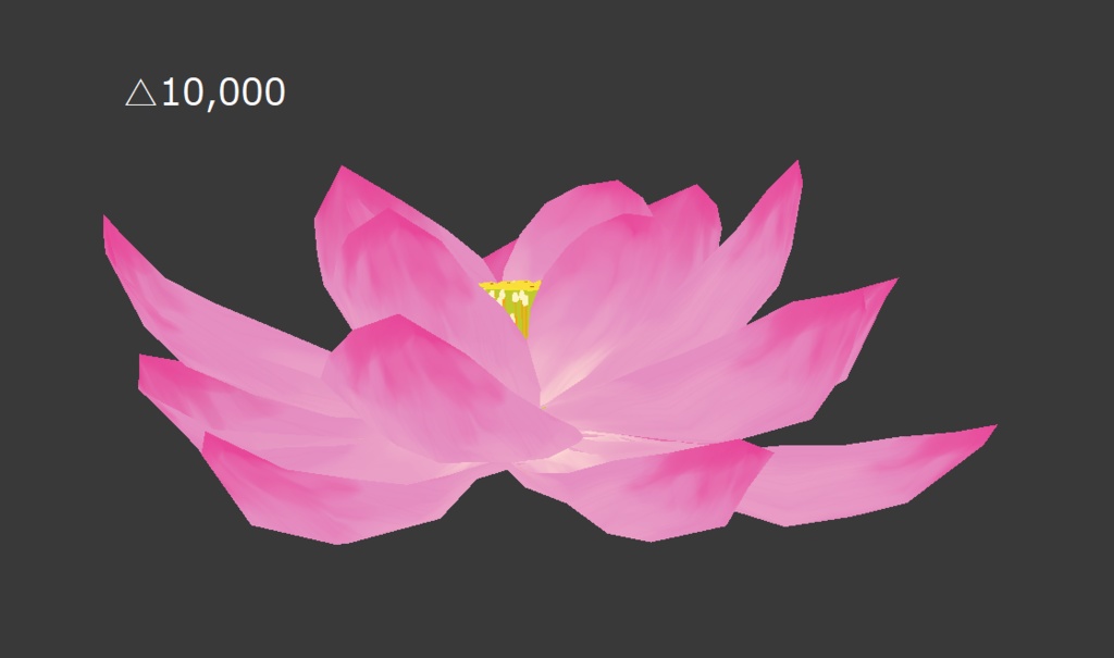 ハスの花 Lotus flower