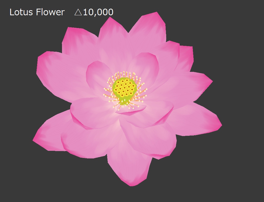 ハスの花 Lotus flower