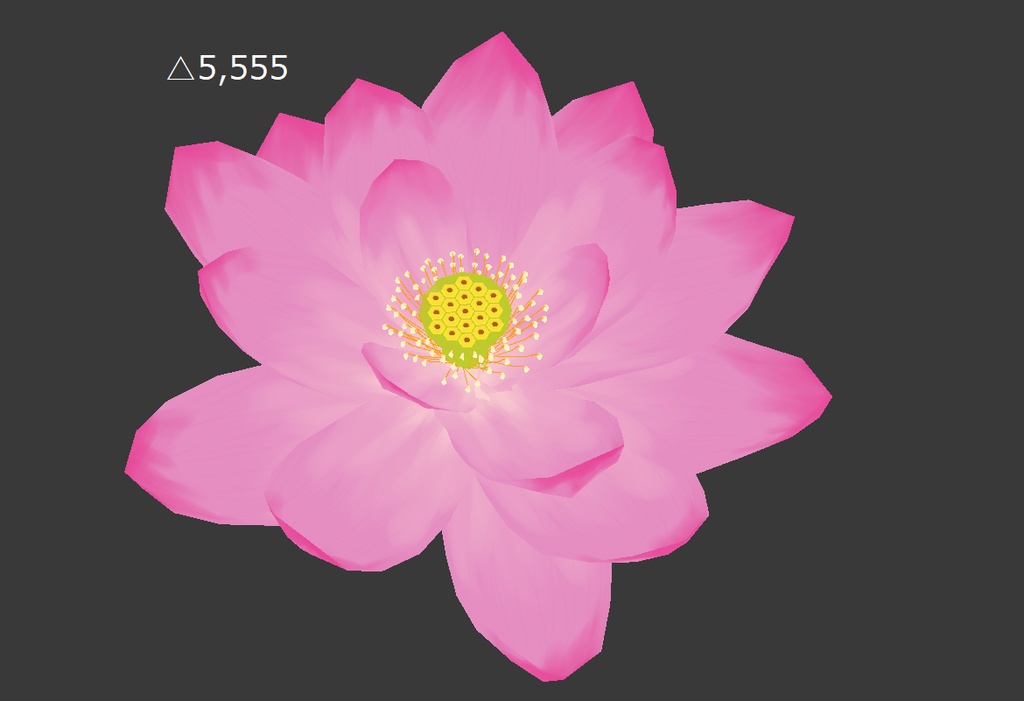 ハスの花 Lotus flower