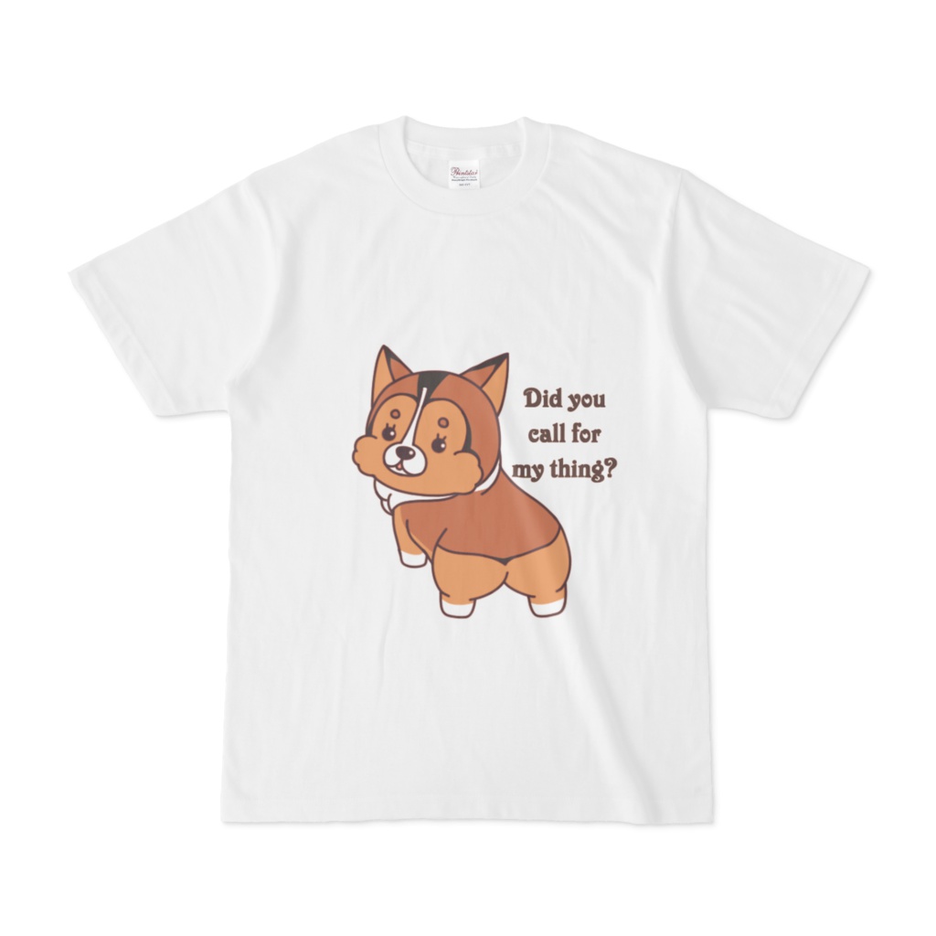 コーギー3 白Tシャツ