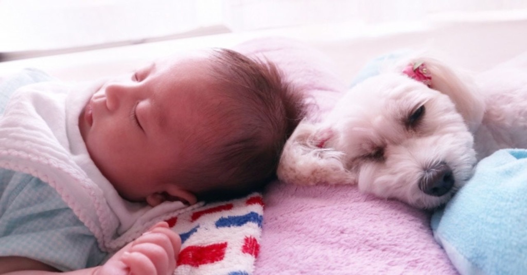 * 赤ちゃんが安心して眠る ふんわりオルゴール集