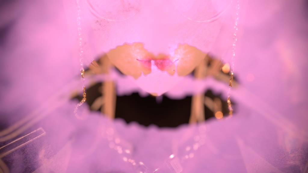 HESTIÂR — HESTIÂR Collection 【V感・キス・舐め】【Ver.1.1.0】