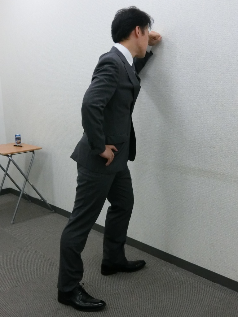 MAKO ROM(まこさんスーツ資料ROM)【DL版】