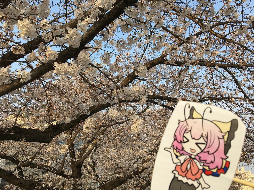 さくらとあじゃこ