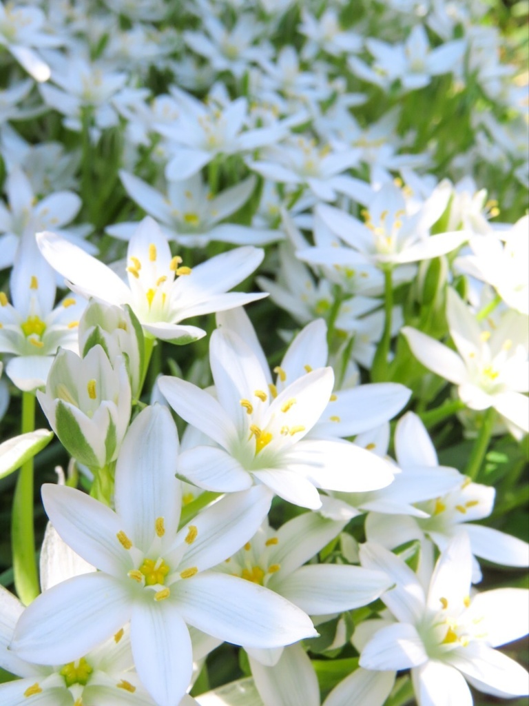 オーダー作品■栄さま