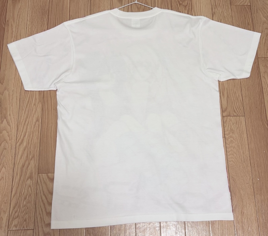 しほちゃんの“超”痛Tシャツ!!!