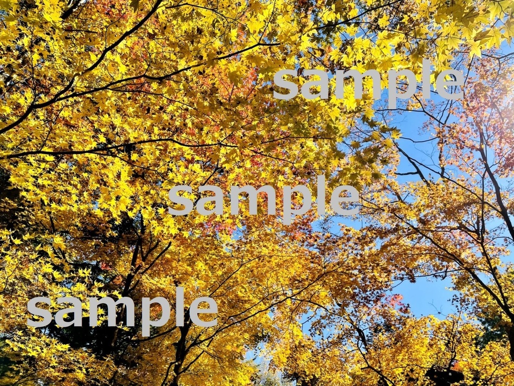 【素材】美しい軽井沢の紅葉【写真】