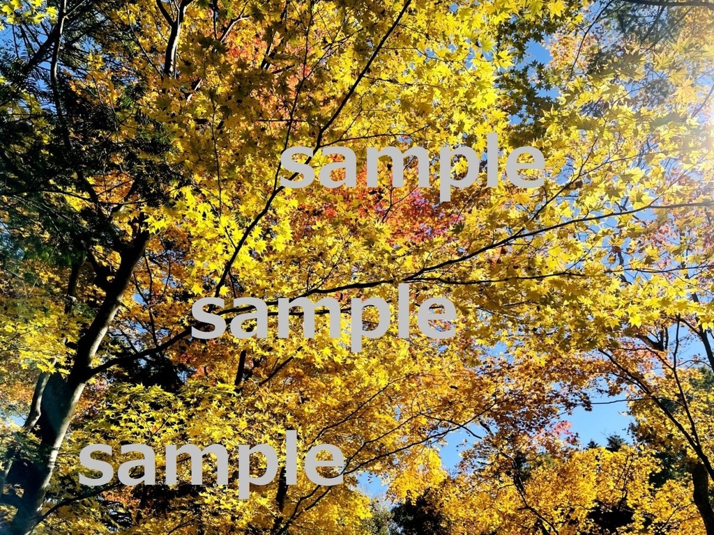 【素材】美しい軽井沢の紅葉【写真】