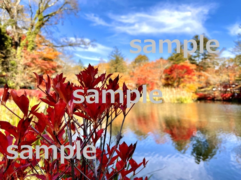 【素材】美しい軽井沢の紅葉【写真】