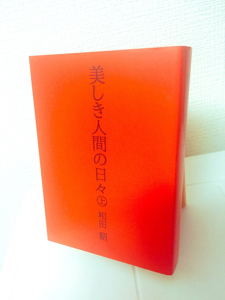 美しき人間の日々(上・下巻セット)