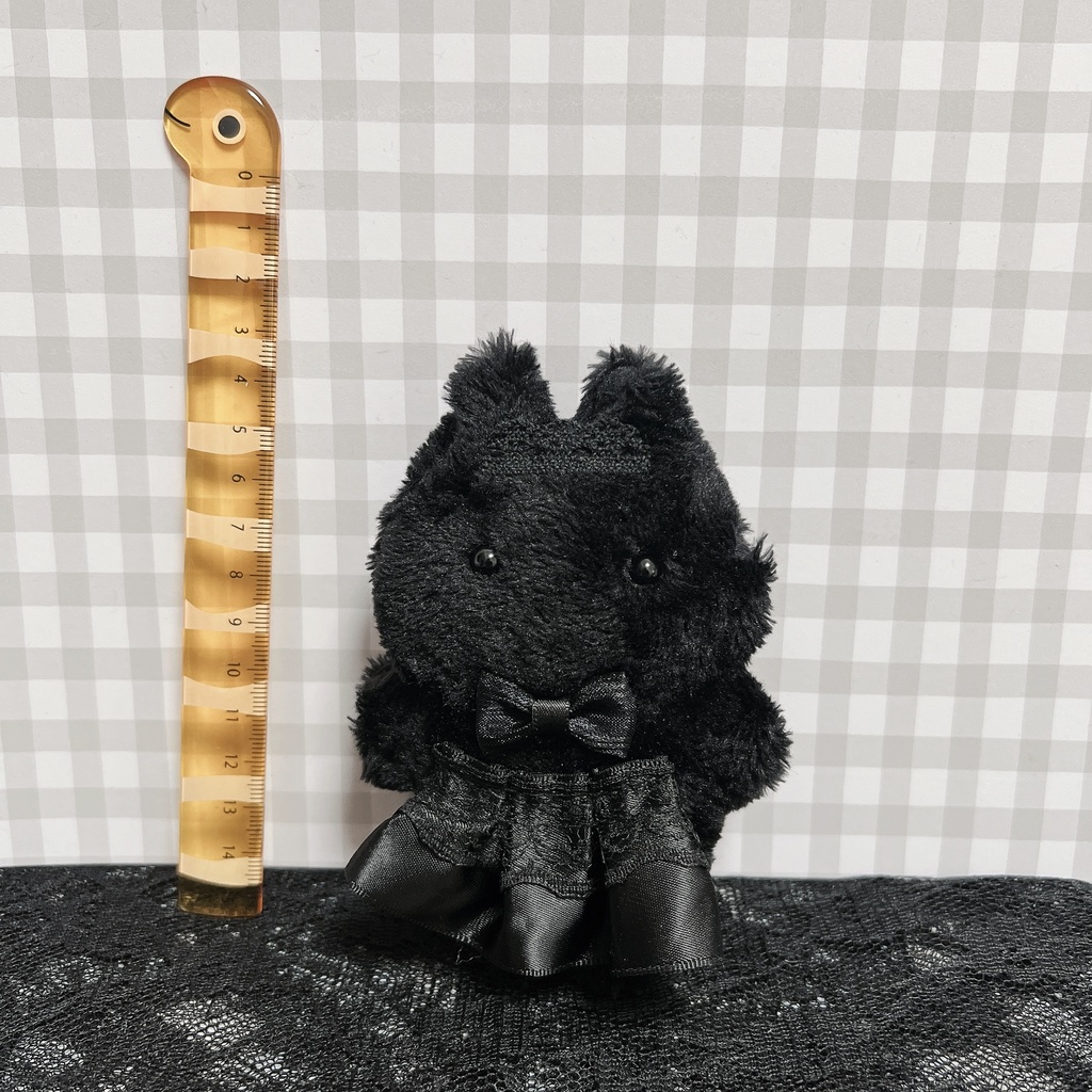 黒猫