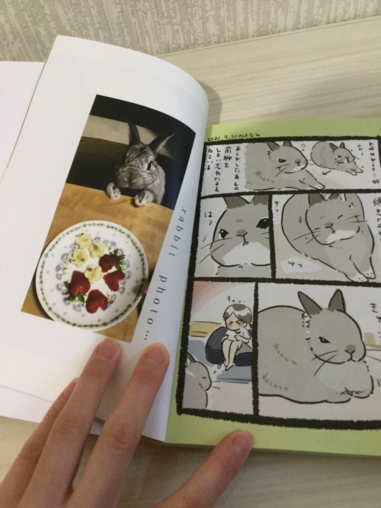 『rabbit and…』単行本①②