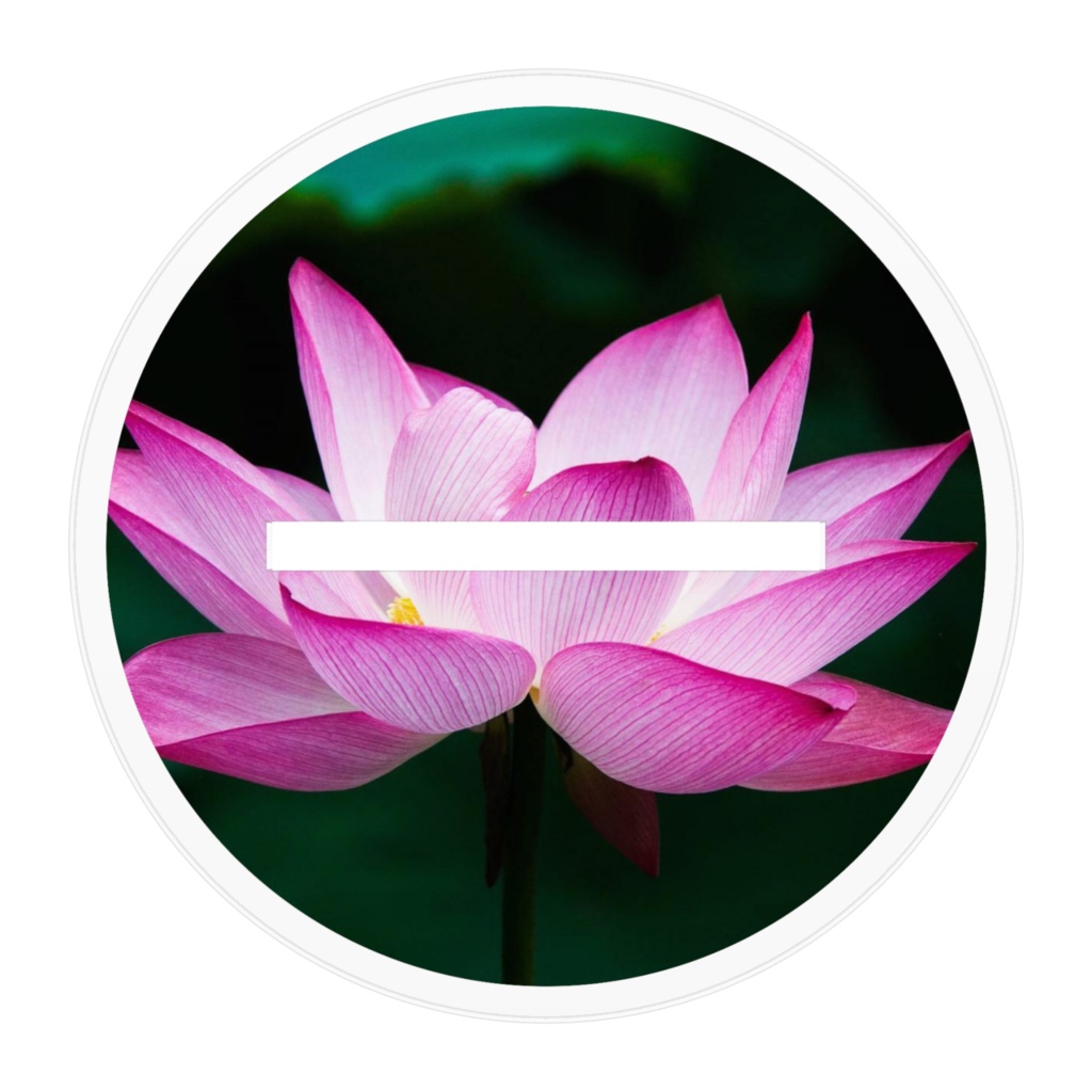 はすこアクリルスタンド(HiW)