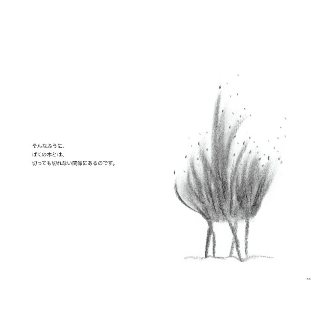絵本「ばくの木」