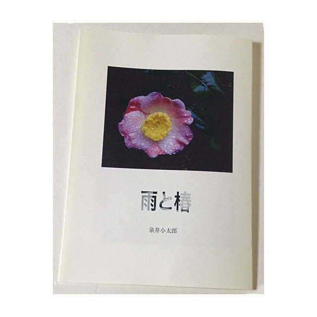 雨と椿（PDF）
