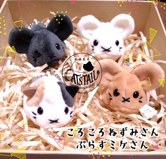 ころころミケさん