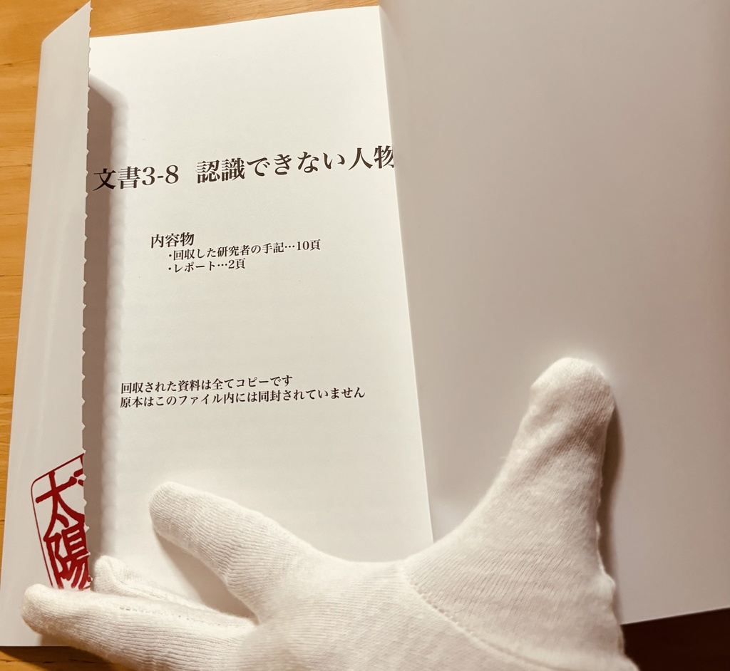 文書3-8 認識できない人物について
