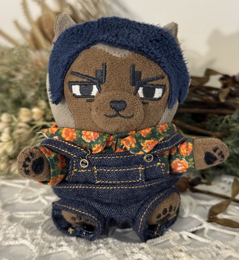 デニムのズボンとサロペット