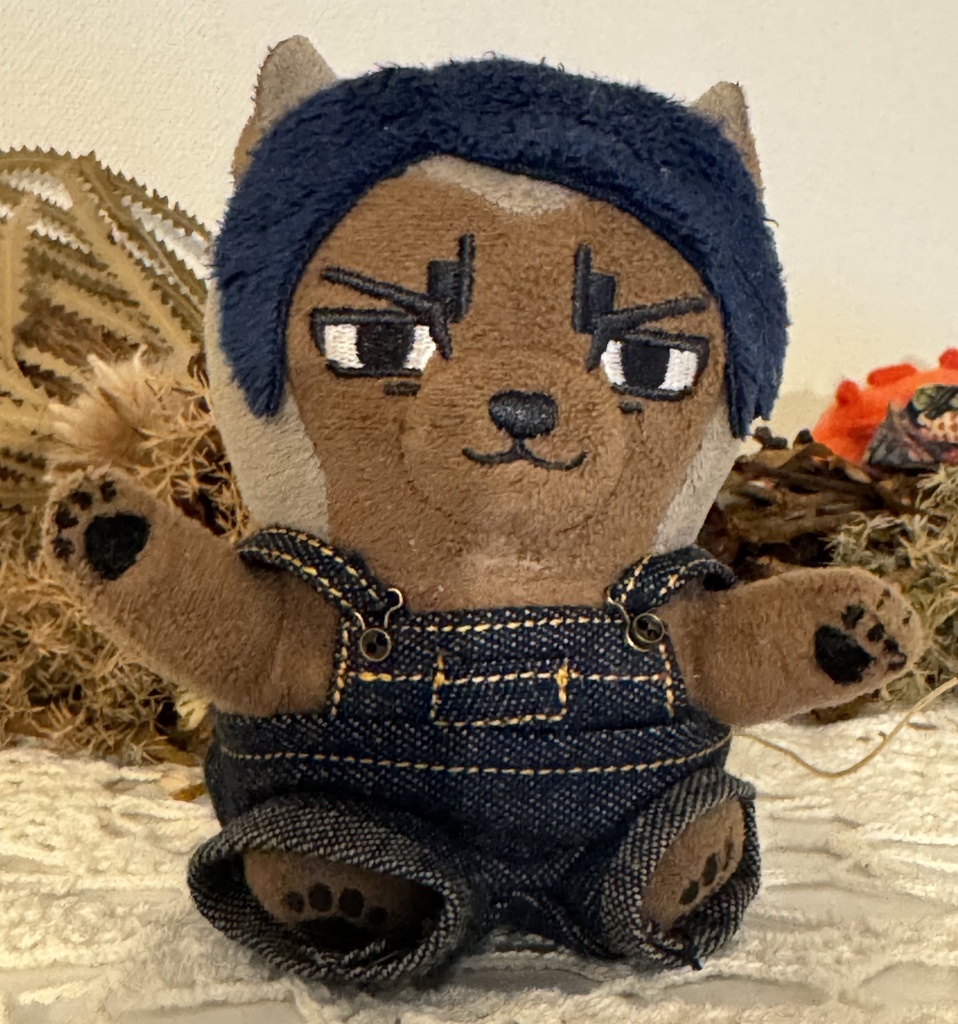 デニムのズボンとサロペット