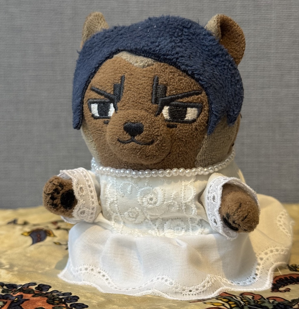 コットンレースのドレス