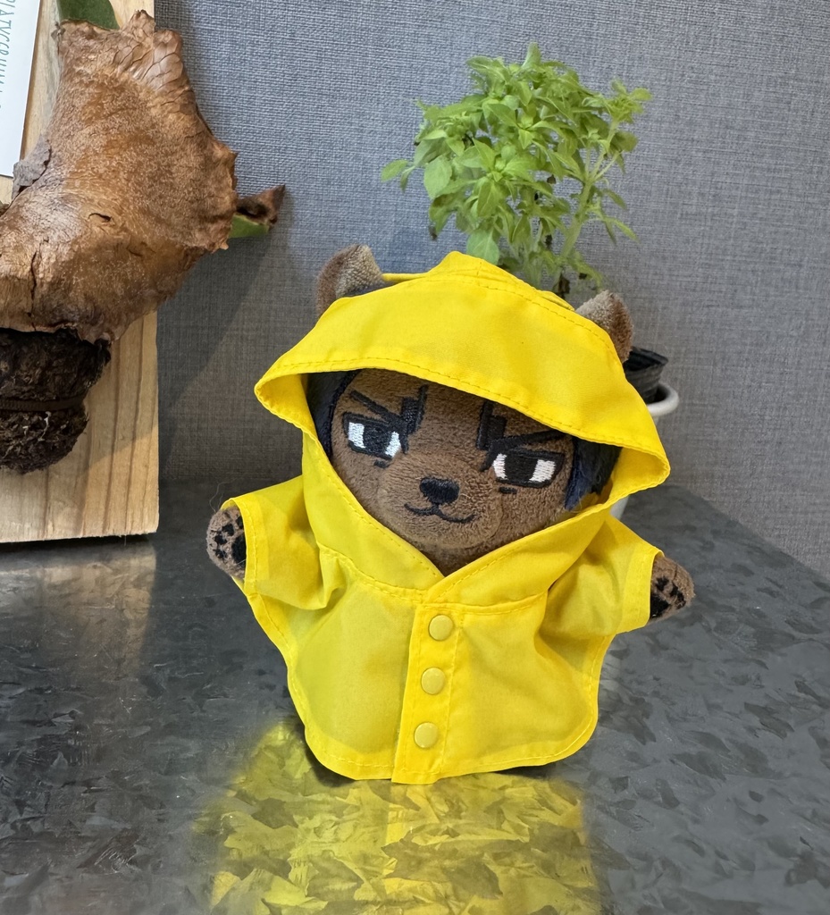 レインポンチョ☔