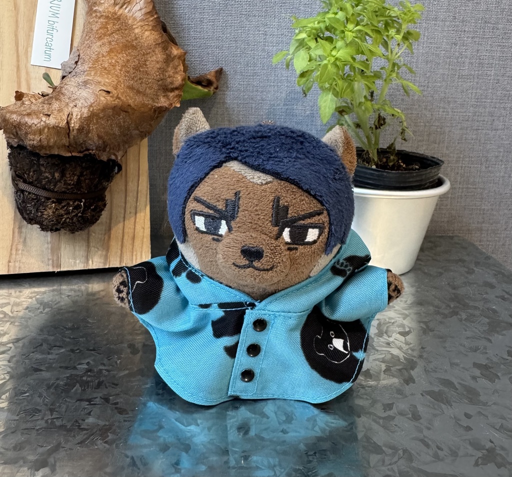 レインポンチョ☔
