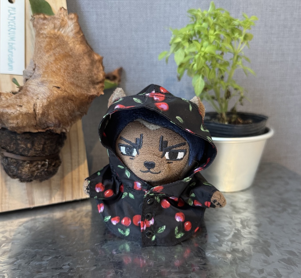 レインポンチョ☔